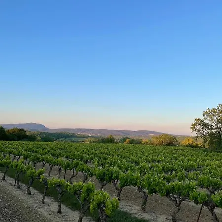 Provencale Entre Cevennes Et Provence Avec Grande Piscine Et Un Terrain De Petanque Martignargues