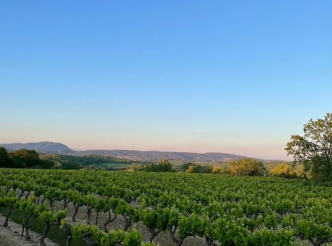 Provencale Entre Cevennes Et Provence Avec Grande Piscine Et Un Terrain De Petanque Martignargues
